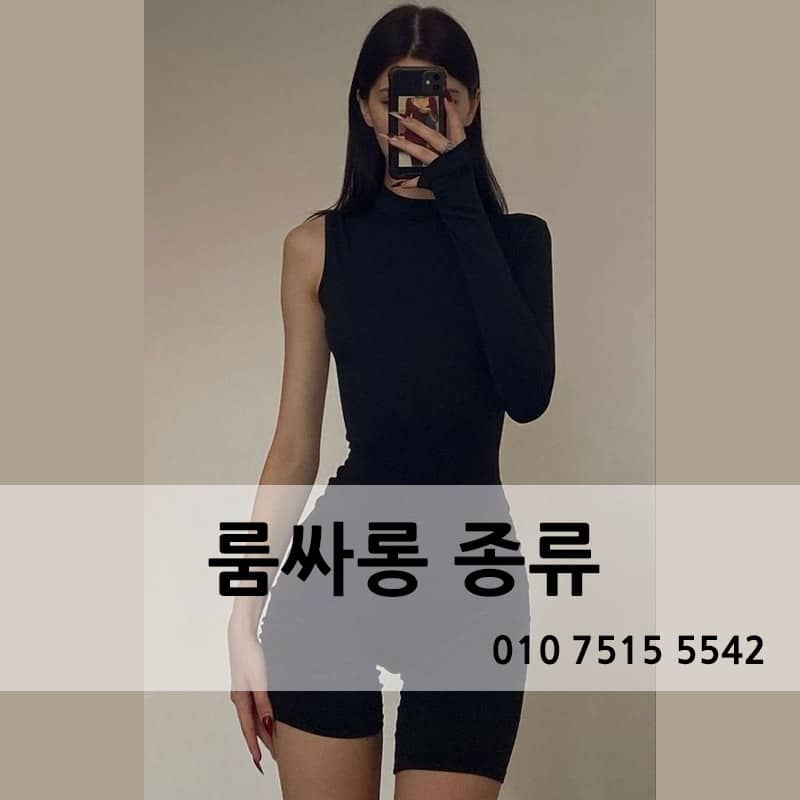 룸싸롱 업소별 종류