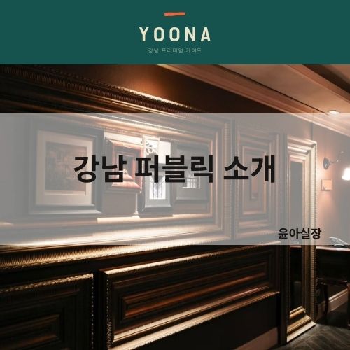 강남 퍼블릭 시스템 윤아실장