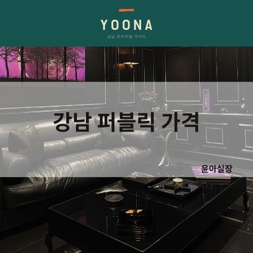 강남 퍼블릭 소개 윤아실장