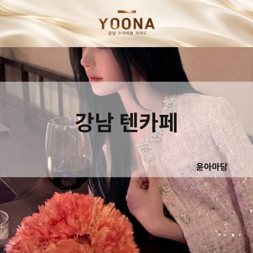 강남 텐카페 윤아마담 | 시스템·가격·위치·정보